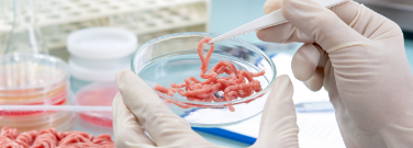 Meat grown in a petri dish Fleisch in einer Petrischale gewachsen