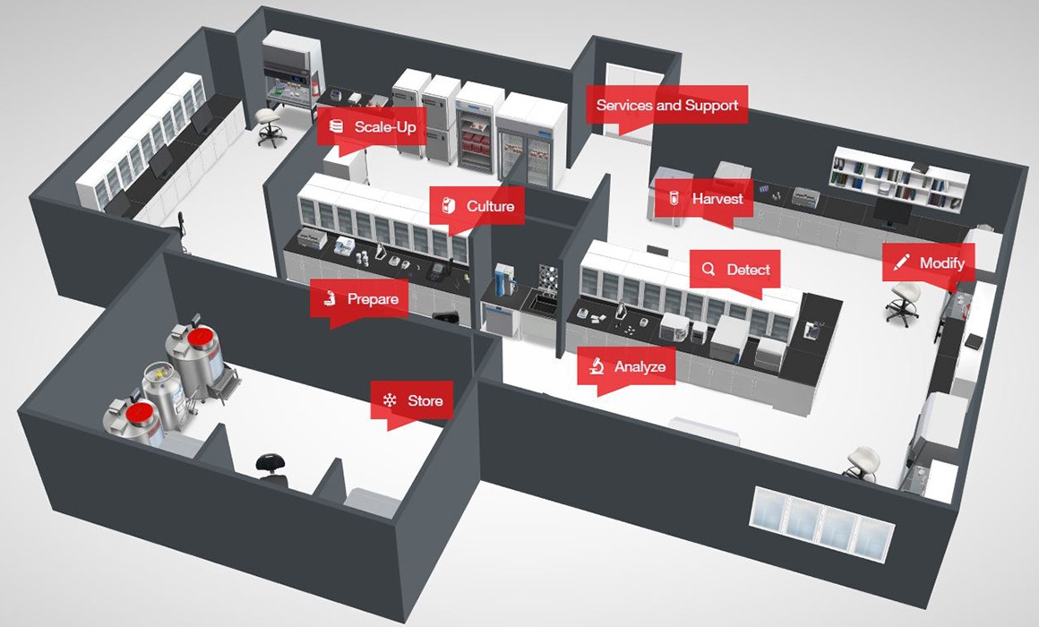 Workflow Expertise Workflow Expertise