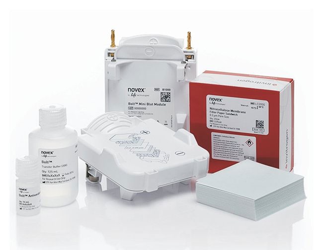 Bolt&trade; Western Pack