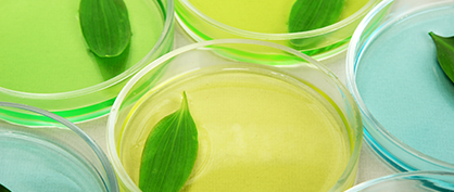 Vier praktikable M&ouml;glichkeiten, der Nachhaltigkeit in Ihrem Labor Priorit&auml;t einzur&auml;umen