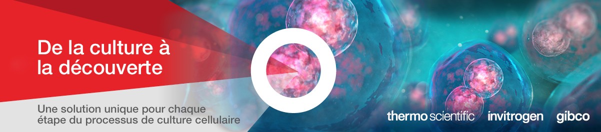 13818_Landing_Page_Banner_FR 13818_Landing_Page_Banner_FR