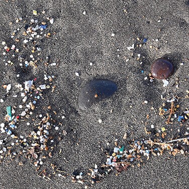 Microplastics washed up on a beach Microplastics washed up on a beach