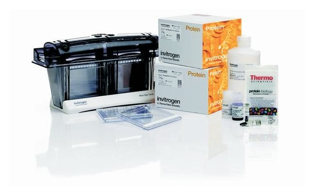 NuPAGE&trade; Bis-Tris Welcome Pack, 10%, 10-well