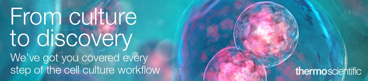 13372_original_banner_IE-IT-PT 13372_original_banner_IE-IT-PT