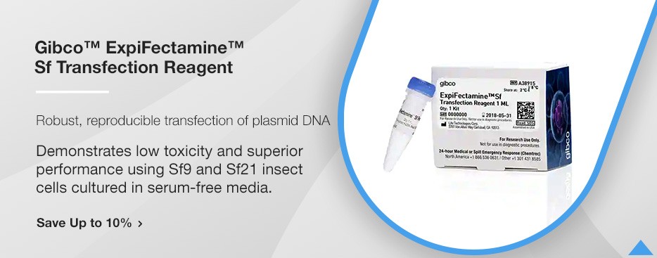 Gibco™ ExpiFectamine™ Sf Transfection Reagent